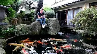 Modern Koi Blog #1200 - Nochmal Thema Schaumbildung