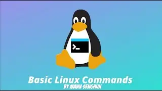 Run Basic Command On Linux Using Pop_OS