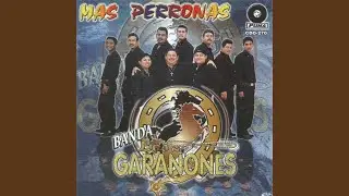 Saquen Al Buey