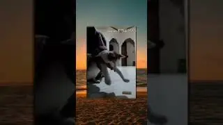 Kucing terbang 🗿 #ngakak #meme #videolucu
