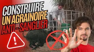 Construire un agrainoir anti-sanglier : tutoriel simple et efficace
