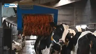 BouMatic HandyBrush cow brush - Vercruyssen Farm, BE