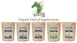 Why use Wild Fed's Organic Herbal Supplements for Horses