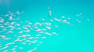 Belize Yacht Charter Vacations   HD 1080p
