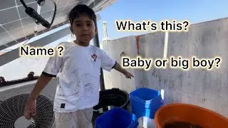 Kids Started learning about Guppy fish Variety | Exotics Guppies #fishlover #petsvlog 