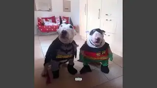 BATMAN AND ROBIN