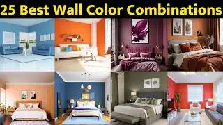 Best Colour combination for living room and bed room | combination for painting | house colour