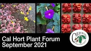 Plant Forum, California Horticultural Society, September 2021