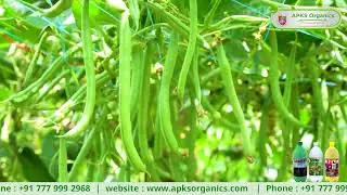Beans Online Farmer Mr. Manjesh giving feedback about our Products