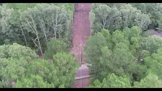 Before and After: Right-of-Way Maintenance