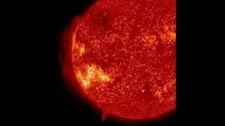 O Plasma Gira Acima Da Superf&iacute;cie Do Sol Por 36 Horas ☀️ #espa&ccedil;o #calor  #universo #sol