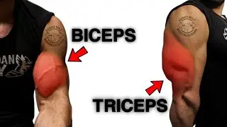 How to Build Your Arms BULGING ANG HUGE  Best Bicep & Tricep !(Perfect technique).