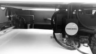 Windles Group  - In line Cold Foiling Litho Printing