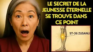 Point Ma&icirc;tre ST-36 | LE SECRET d&rsquo;une &Eacute;nergie Infinie que Personne ne T&rsquo;a Dit | Sagesse Ancestrale