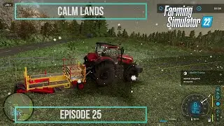 Thinking of the future | Calm Lands Ep25 | Farming Simulator 22 - AMS Gaming