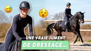 MON COACH COMMENTE MA S&Eacute;ANCE... et ma jument n'est pas facile ! #dressage
