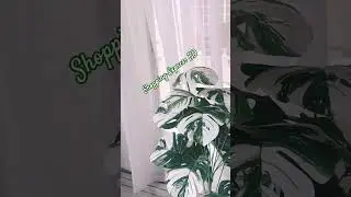 White Weightless Georgette curtain.