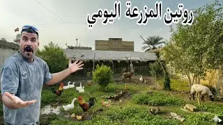 العمل في المزرعة 