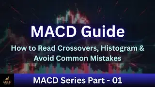 Understanding the MACD Indicator | Gold Reaper