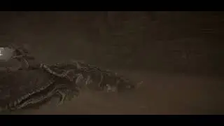 Transmiss&atilde;o ao vivo do PS4 de DidaIbr