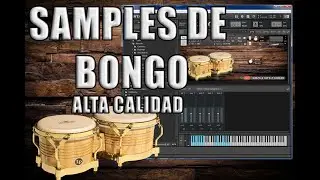 SAMPLES DE BONGO LP CALIDAD PROFESIONAL DE ESTUDIO