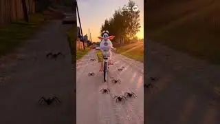 6 серия 1 сезона #SoraAI#AIvideo#T2x2#Fixeye#Sora#Soraai#sora2#memes