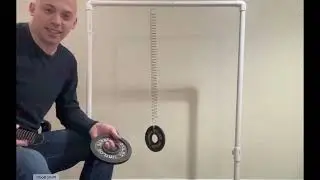 PHYSICS LAB - Finding the Frequency and Period of Simple Harmonic Motion Mass and Spring Oscillators