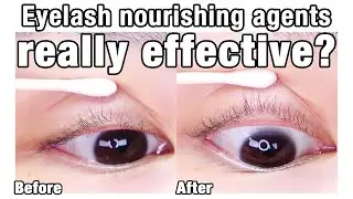Eyelash nourishing agents , really effective ? Recommendation / Short Eyelashes  / Comparison