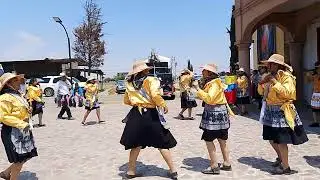 Torito sensación 2025 😎