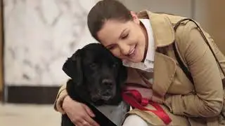 Our Furry Friends - It's A Dog Life