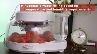 EVERYGROW Egg Incubator for Hatching Eggs with Humidity Display