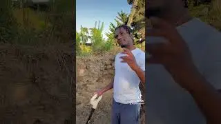 Planting melons in the summer check it out!!