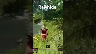Top rawhide farming spot for new world aeternum gold.