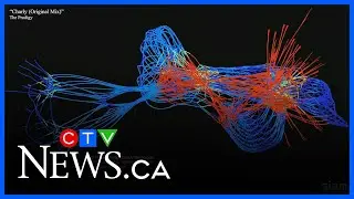 Global math experts gather in Montreal