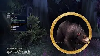 Caged Bear, Blackpaw Mount from Agathe Wyrmwood in Darkshore