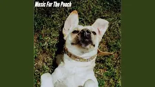 Energetic Piano Music - Vibe for Sunday Tracks