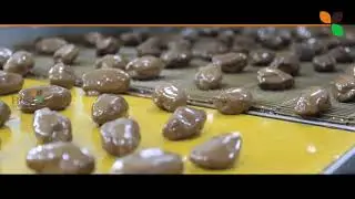 BEST FOOD CO LLC CHOCOLATES UNIT Rashidiya Dubai