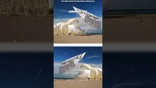 This Mechanical Beast Moves Without Electricity! #facts #science #shorts