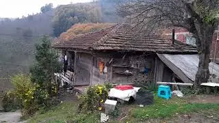 Köy