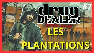 Drug Dealer Simulator : Guide Ultime des Plantations ! 🌿💸