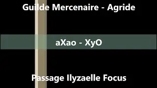 Dofus - Passage Ilyzael Focus - Mercenariat Agride -