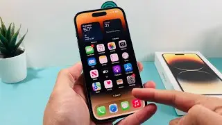 How to Remove Search Bar from Home Screen on iPhone