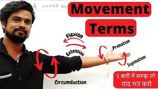 Anatomical Terms | Movements at Synovial Joints | Flexion | Extension | Adduction | Hindi