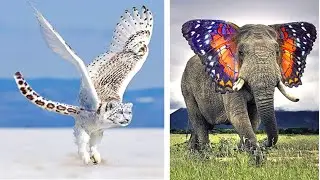 10 Hybrid Animals That Are Hard To Believe Actually Exist