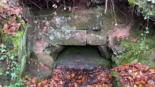 Wandern im Dahner Felsenland 1 (Burgruine, Felsen, Naturschutzgebiet, Felsenpfad, Neudahn)