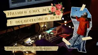 Миллион алых роз в подмосковном небе | Elektron Model:Cycles live jam