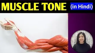 MUSCLE TONE PHYSIOLOGY| HYPOTONIC| HYPERTONIC|MUSCLE TONE IN HINDI|2023, #physiology , #muscletone
