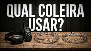 Qual Coleira Usar no Cachorro?