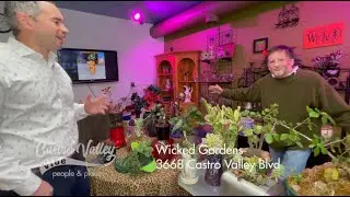 Wicked Garden Studio | Castro Valley VIBE, Castro Valley , CA