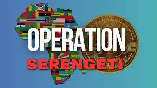 Operation Serengeti Forex Scammers Arrested Across 19 African Countries!
